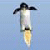 Penguin-Flight